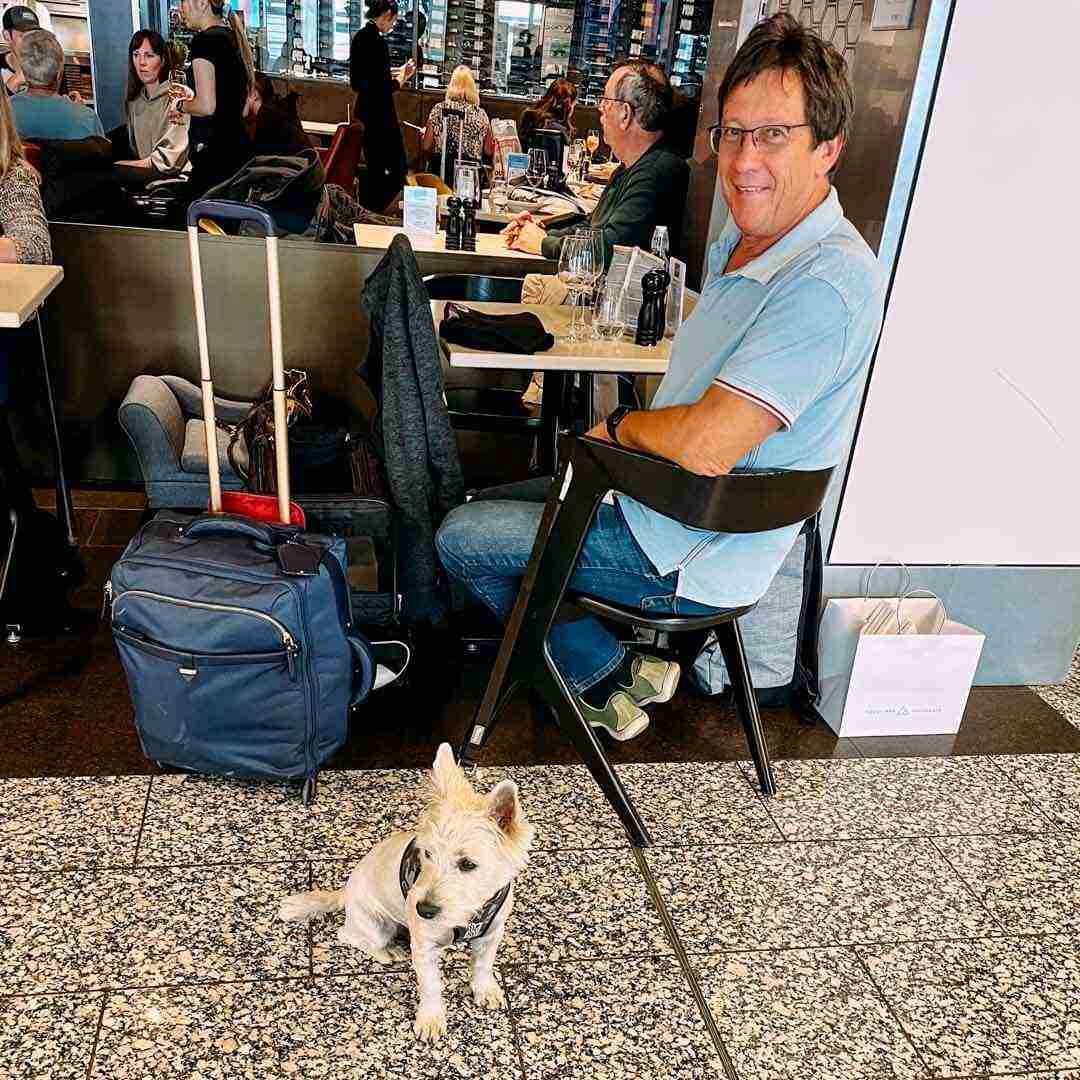 Flying with a Dog