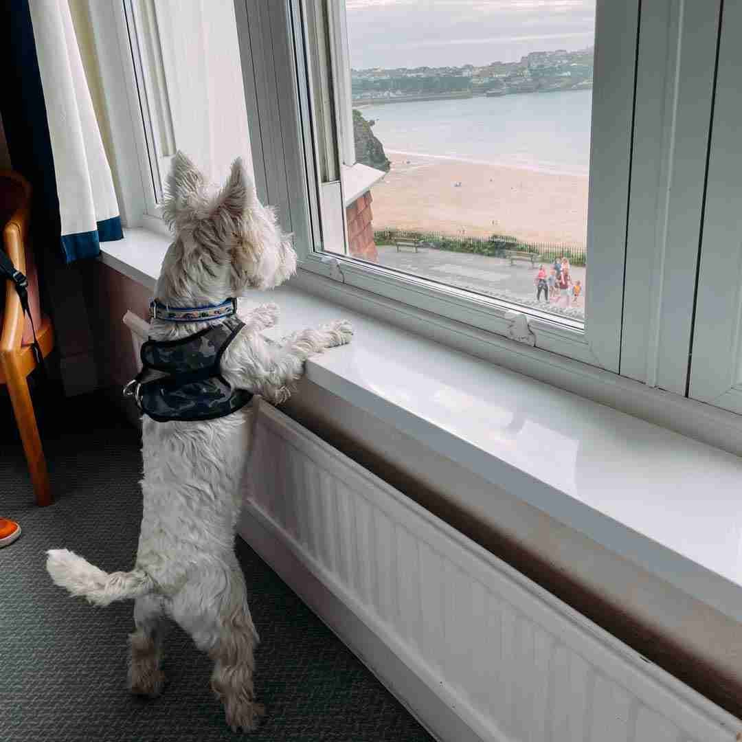Newquay