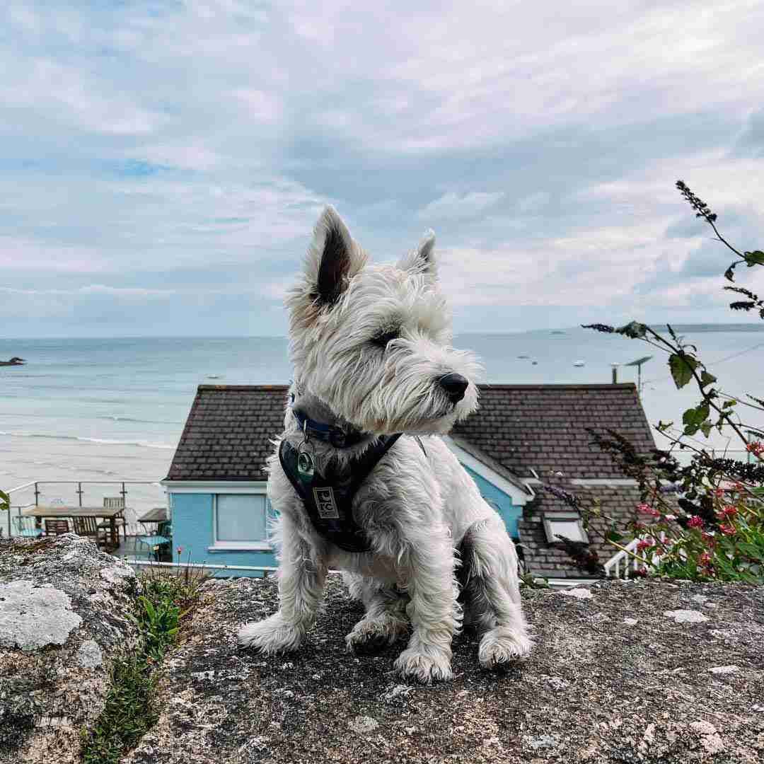 St Ives