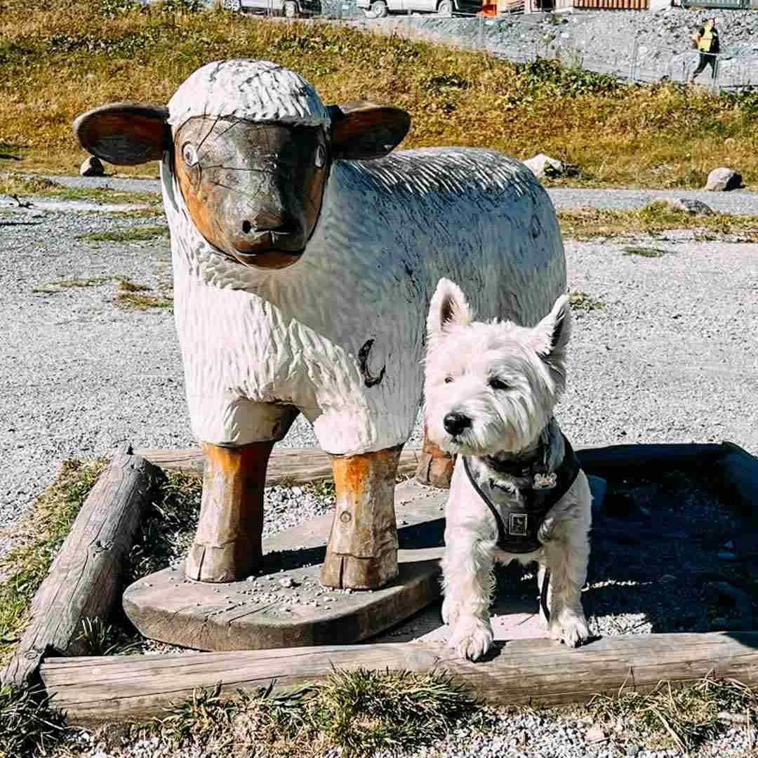 Austria Kaprun