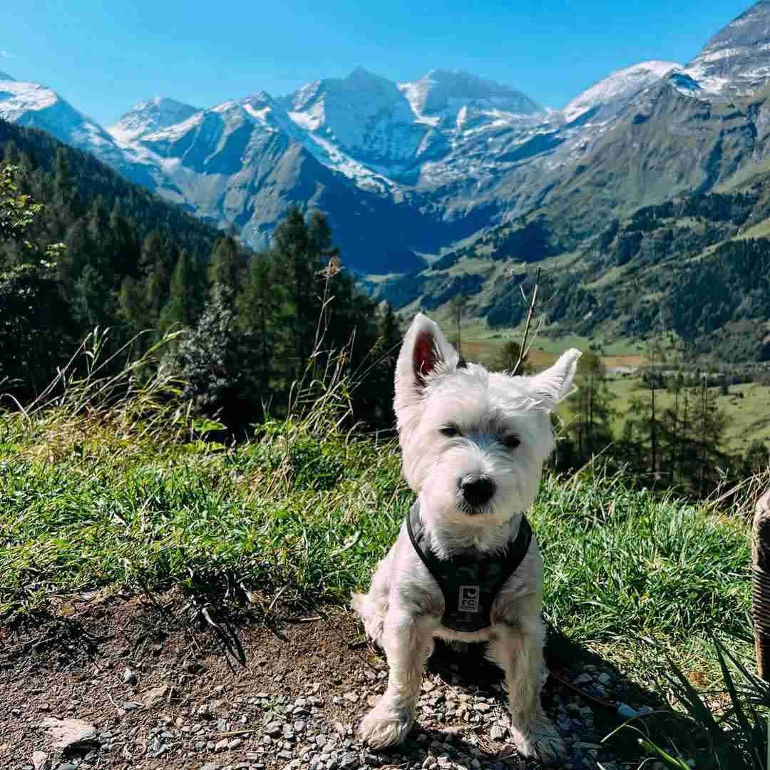 Austria hiking