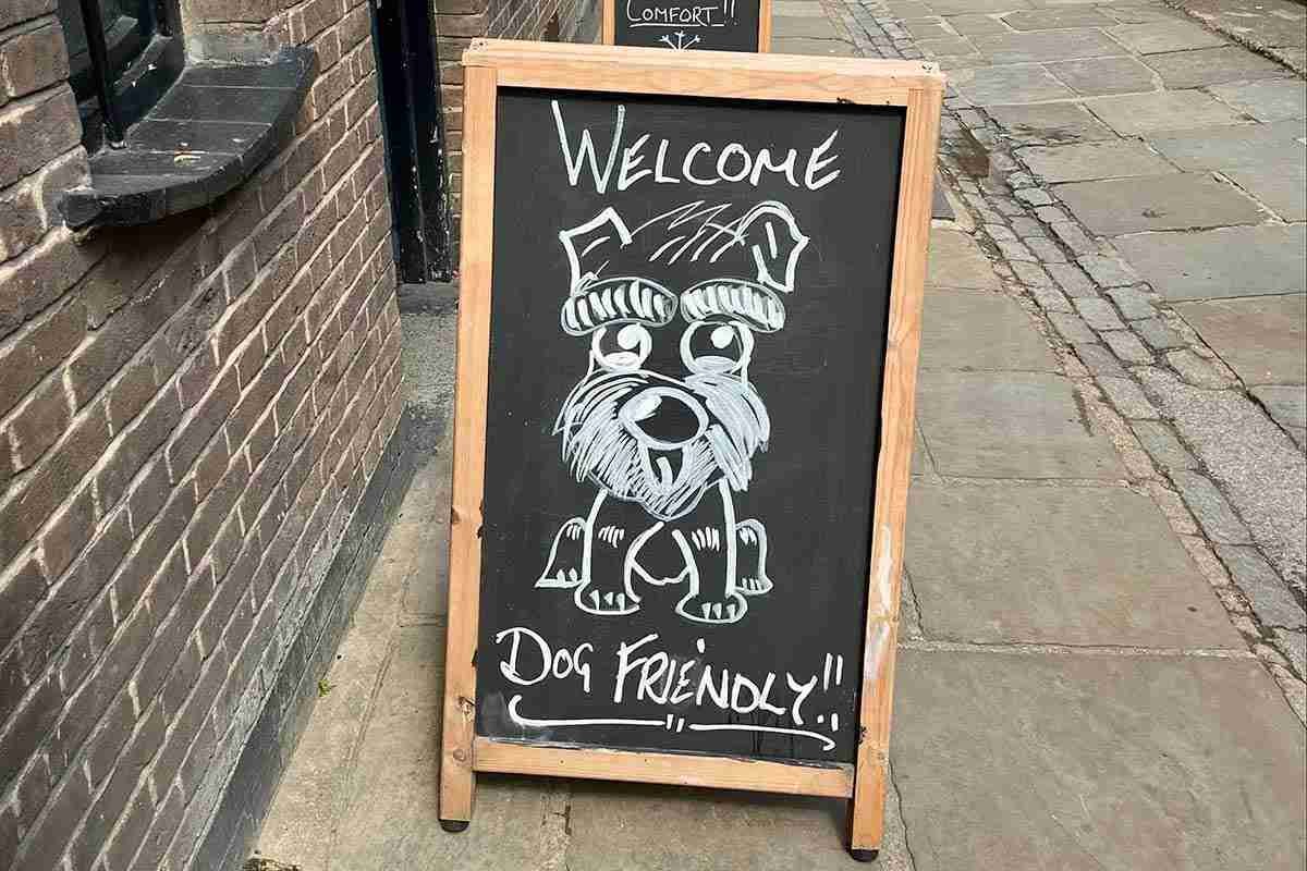 Dog-friendly