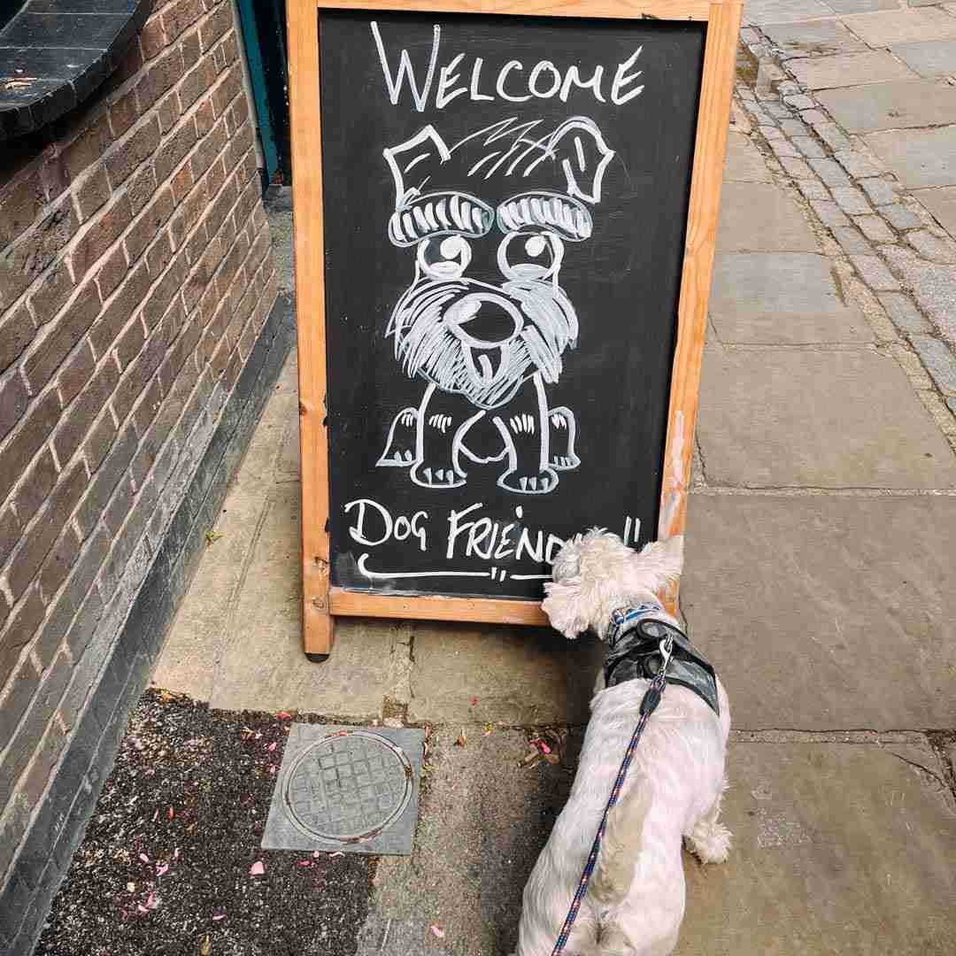 Dog Friendly London