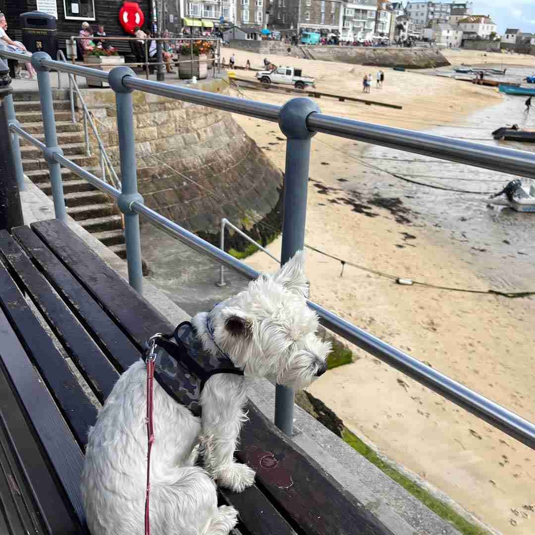 St Ives