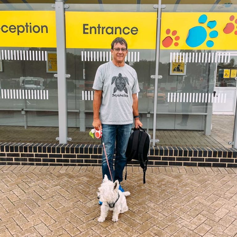 Pet Taxi