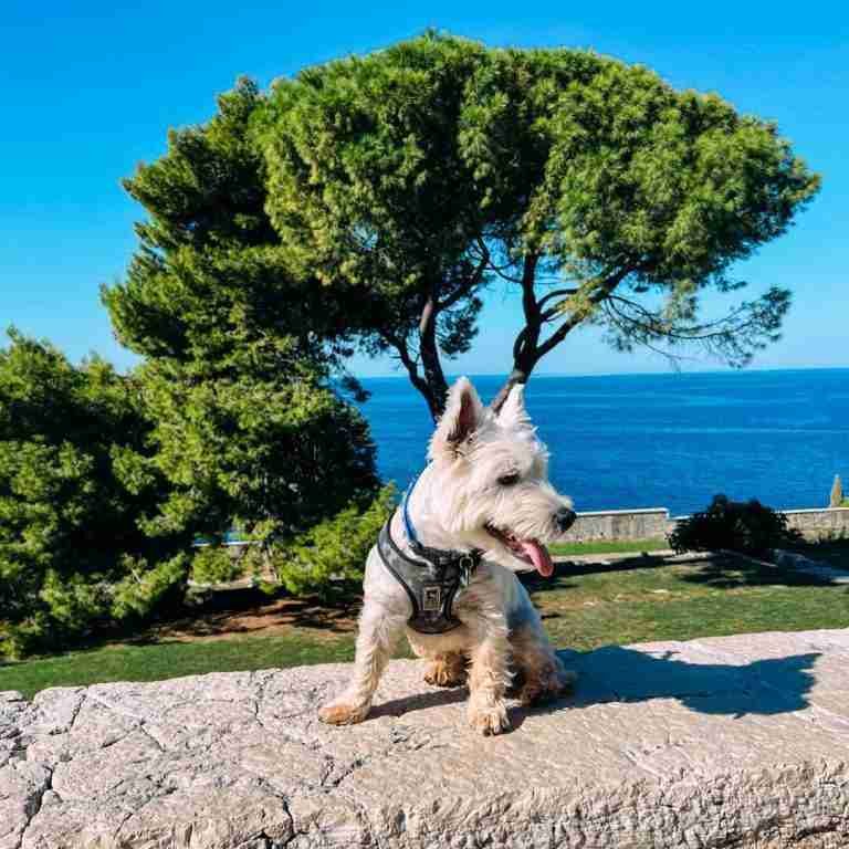 Umag Croatia