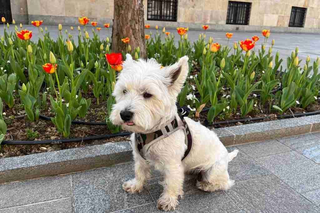 Banja Luka springtime