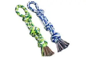 Dog rope