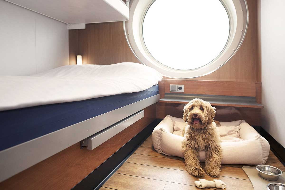 Stena Line Dog-Friendly Cabins