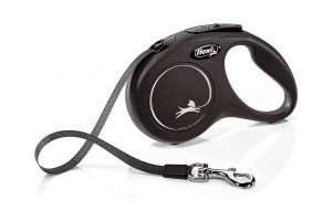 Flexi leash