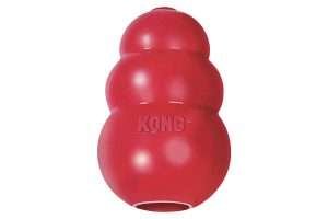 Kong toy